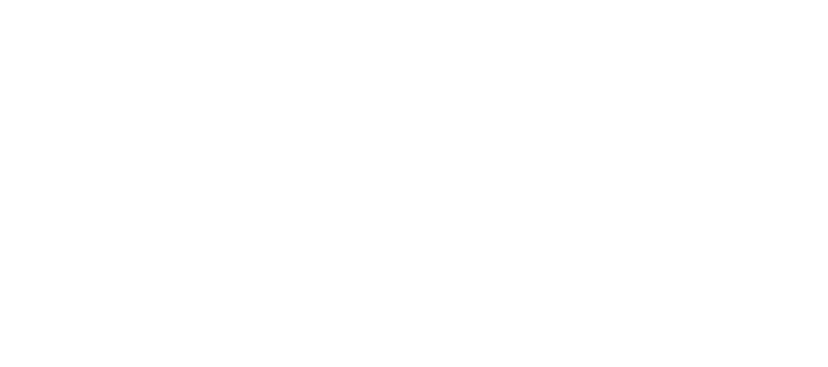 Spyderweb Communications